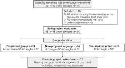 Elasticity and cross-sectional thickness of paraspinal muscles in progressive adolescent idiopathic scoliosis